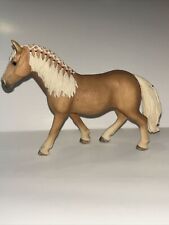 haflinger mare horse for sale  Apex