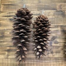 2 Large Pine Cone 13" & 16" for sale  Shipping to South Africa