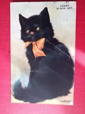 Vintage postcard lucky for sale  KINGSWINFORD