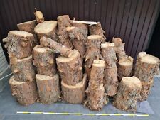 Brennholz raummeter fichtensta gebraucht kaufen  Schenefeld