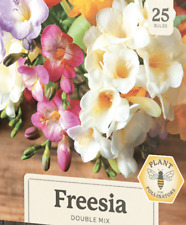 Freesia double mix for sale  USA