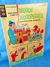 Woody woodpecker adventure for sale  Boston