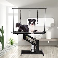Heavy Duty Z-Lift Hydraulic Pet Dog Grooming Table For Large Dogs W/ Clamb/ Arm for sale  Shipping to South Africa