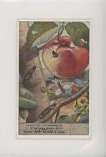 1940s Liebig Orthoptera Insects French #1 a8x for sale  Shipping to South Africa