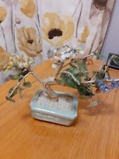 bonsai collection for sale  NORWICH