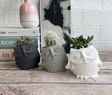 Handmade Concrete owl planter,plant Pot,indoor Planter,cactus Pot,flower Pot for sale  BROMLEY