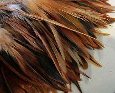 Rooster saddle hackle for sale  Smokerun