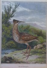 SAMUEL HOWITT FRAMED & GLAZED HAND COLOURED ENGRAVING OF A BITTERN CIRCA 1790 for sale  Shipping to South Africa