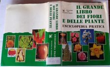 Grande libro dei usato  Italia