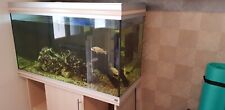 Rena aquarium fishtank for sale  ST. NEOTS
