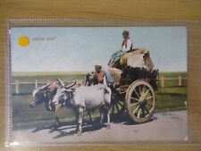 Usado, Um carrinho de algodão vintage - Boi - Cartão postal impresso vintage - Não publicado comprar usado  Enviando para Brazil
