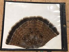 Vintage ruffed grouse for sale  Shreve