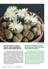 Grow lithops living for sale  Shipping to Ireland