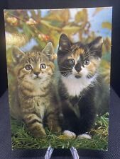 Postcard adorable kittens for sale  Batavia