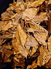 2litres beech leaves for sale  ROYSTON