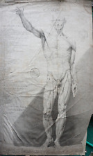 Engraving xviii anatomy d'occasion  Expédié en Belgium