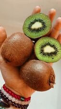 Kiwi seeds homegrown for sale  Copperas Cove