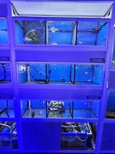 Fish tank racking for sale  STOKE-ON-TRENT