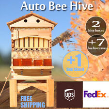 bee ready hives bees for sale  USA
