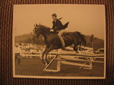Champion morgan horse for sale  Coralville