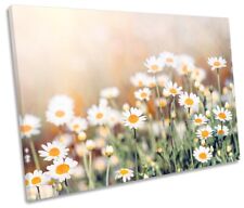 Daisy flowers print for sale  UK