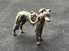 greyhound for sale  POULTON-LE-FYLDE