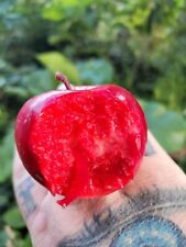 Raro albero mele usato  Spedire a Italy