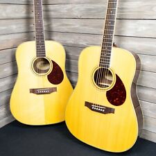 Vantage 300s acoustic for sale  Franklin