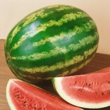 Crimson sweet watermelon for sale  Fallbrook