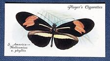 RED POSTMAN    Heliconius Butterfly   Vintage 1930's Card  WC26M for sale  Shipping to South Africa