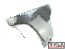 Carbon racing tail usato  Tombolo