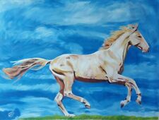 Akhal teke horse. for sale  Saint Paul