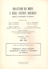Schizogenesi lombrichi anatomi usato  Italia