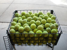 120 tennis balls for sale  Keller