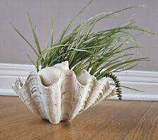 Sculpture big see shell with a smaller see shell, artificial grass. Home Decor  for sale  Shipping to South Africa