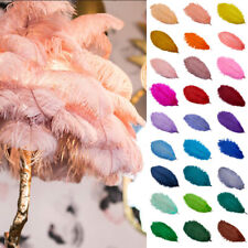 1pc ostrich feather for sale  Shipping to Ireland