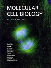 Biologia Celular Molecular por Lodish, Harvey; Berk, Arnold; Kaiser, Chris A., usado comprar usado  Enviando para Brazil