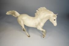 white andalusian stallion for sale  Houston