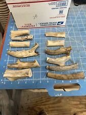 Pcs whitetail antler for sale  Leander