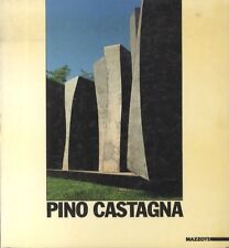 Pino castagna. usato  Trento