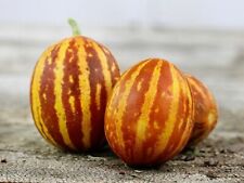 10 semillas de melón Rich Sweetness - Envío gratuito - ¡Dulces, jugosas, cultivadas en EE. UU.!¡!, usado segunda mano  Embacar hacia Argentina