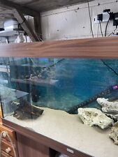 Juwel 350 fish for sale  ROCHESTER