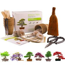 Bonsai tree kit for sale  WOLVERHAMPTON