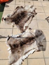 Reindeer hide rugs for sale  NOTTINGHAM