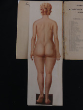 Anatomie corps humain d'occasion  Besançon