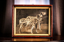 Fantastic dalmatian dog for sale  Roxbury Crossing