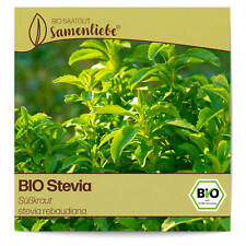 Stevia kräuter samen gebraucht kaufen  Worms