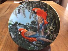 Macaw plate cuban for sale  BALLYCLARE