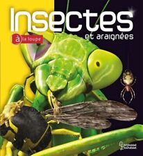 Insectes araignées d'occasion  France