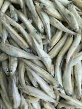 Futterfische stinte 1 gebraucht kaufen  Br'haven-Geestemünde,-Surheide
